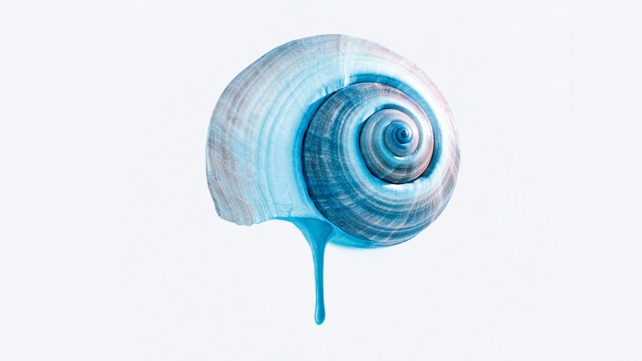 The Blue Trail
