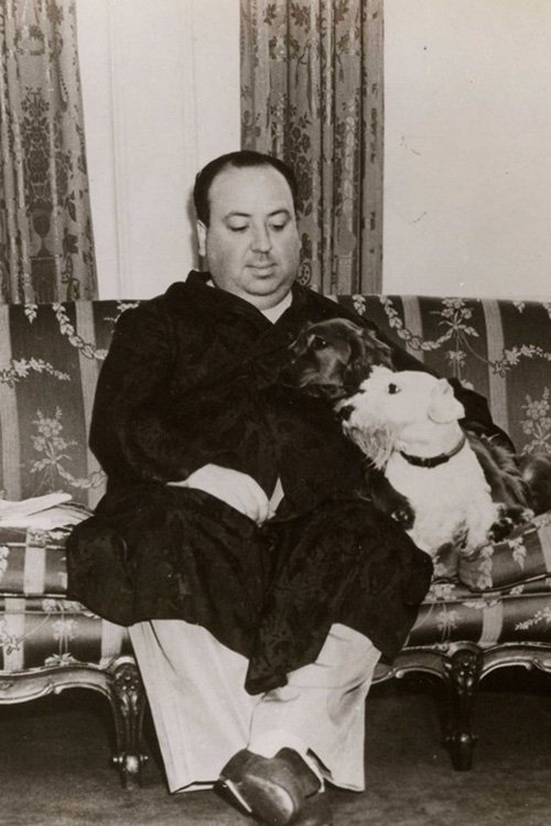 Alfred Hitchcock: The Early Years poster