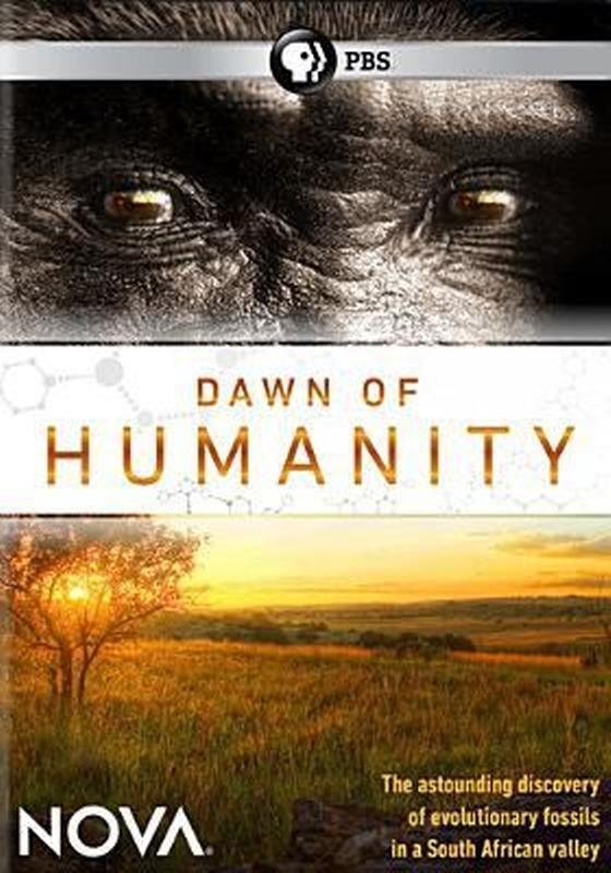 Dawn of Humanity poster