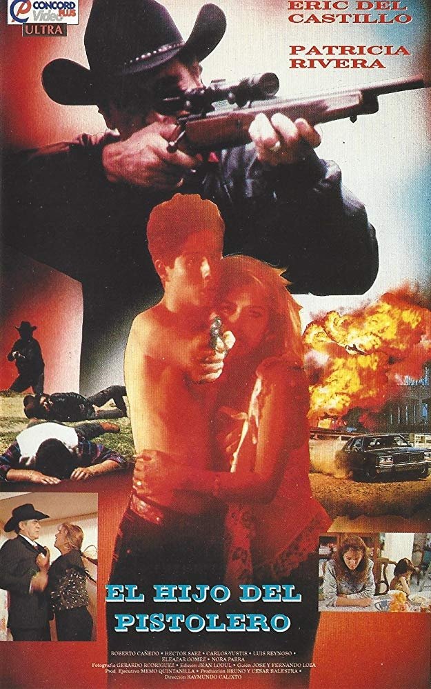 El hijo del pistolero poster