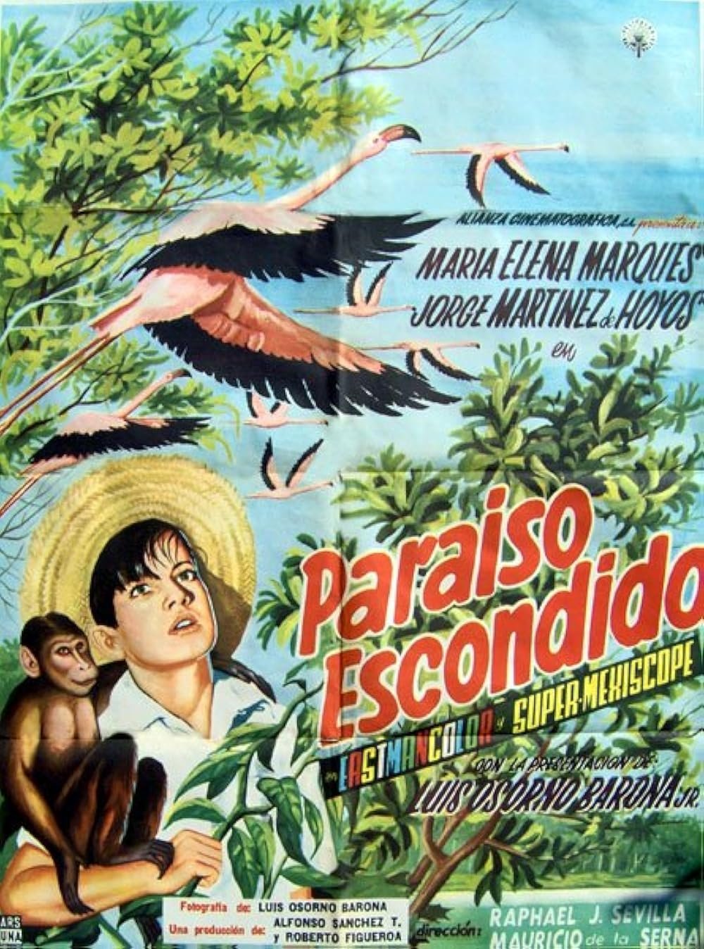 Hidden Paradise poster