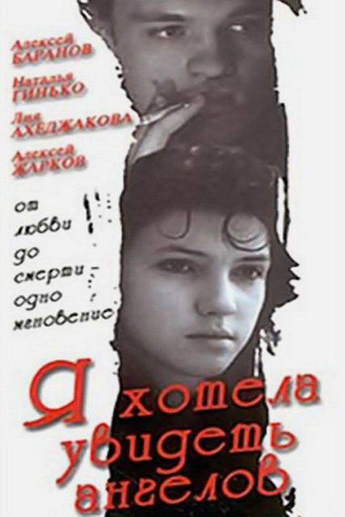 I Wanted to See Angels poster