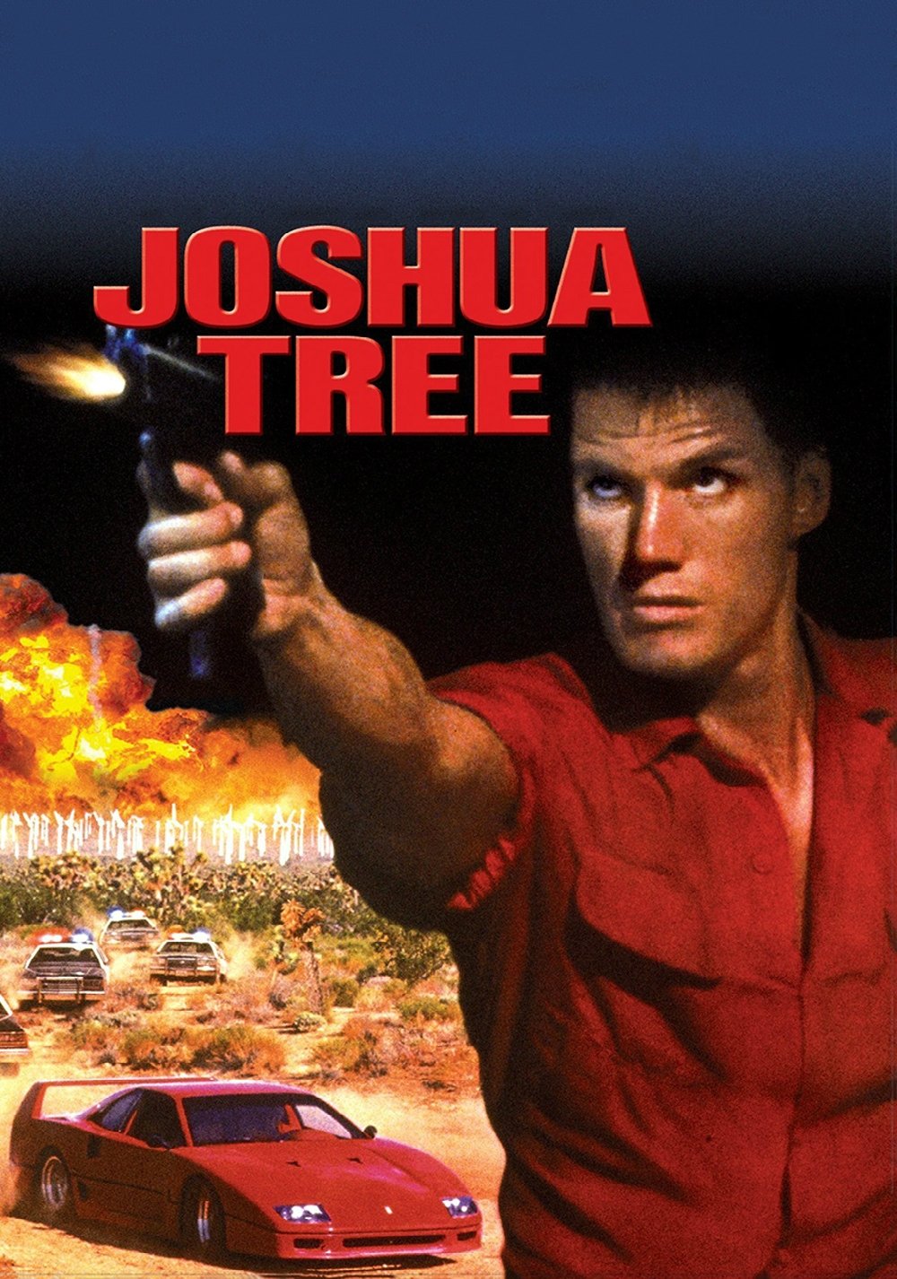 Joshua Tree poster