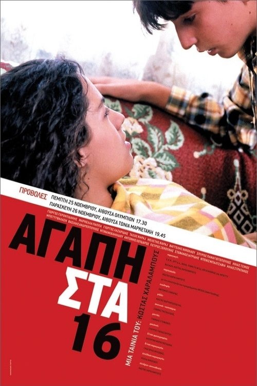 Love at 16 poster