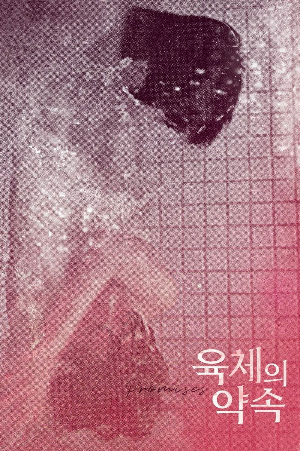 Promises poster