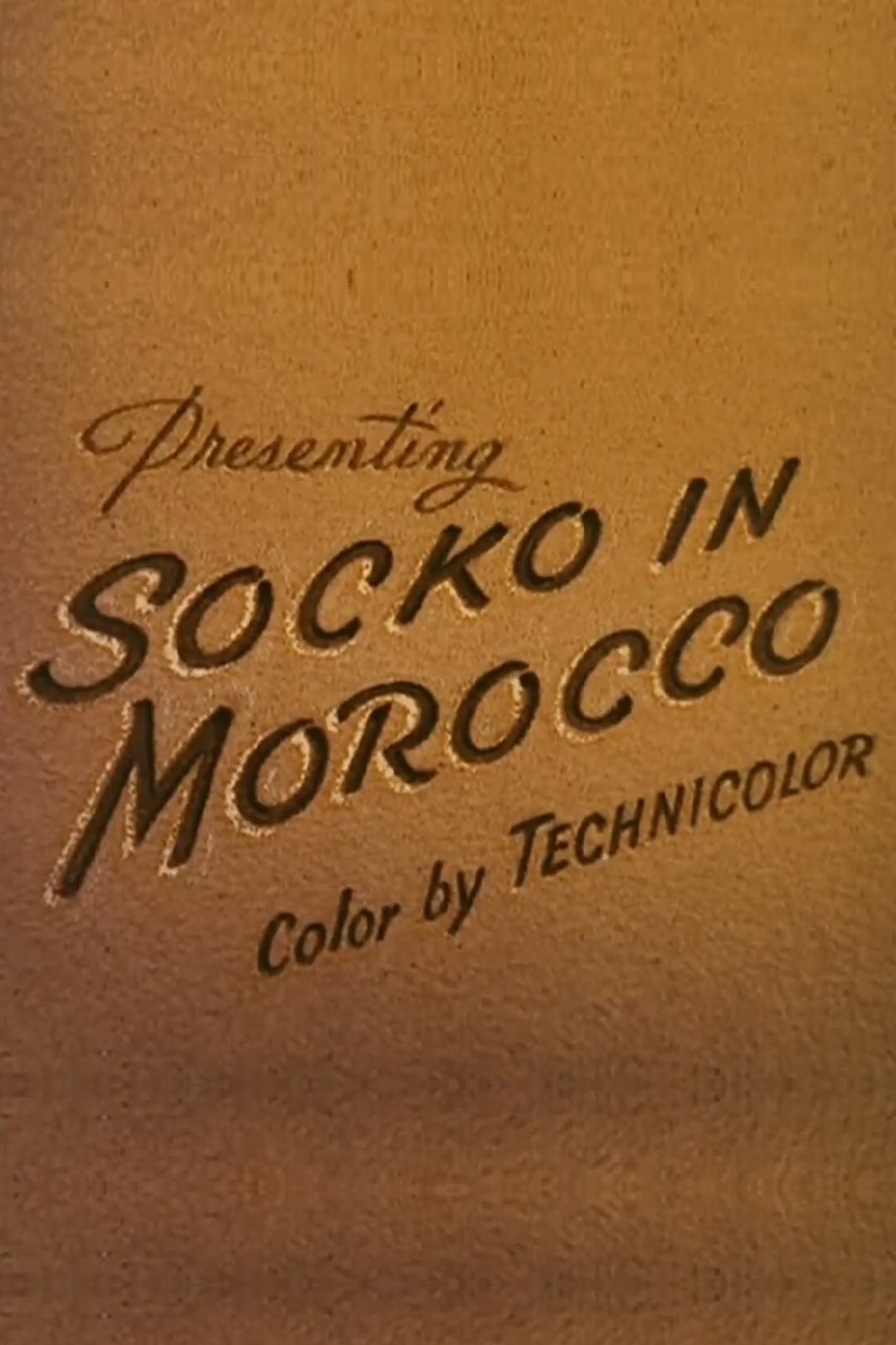 Socko in Morocco poster