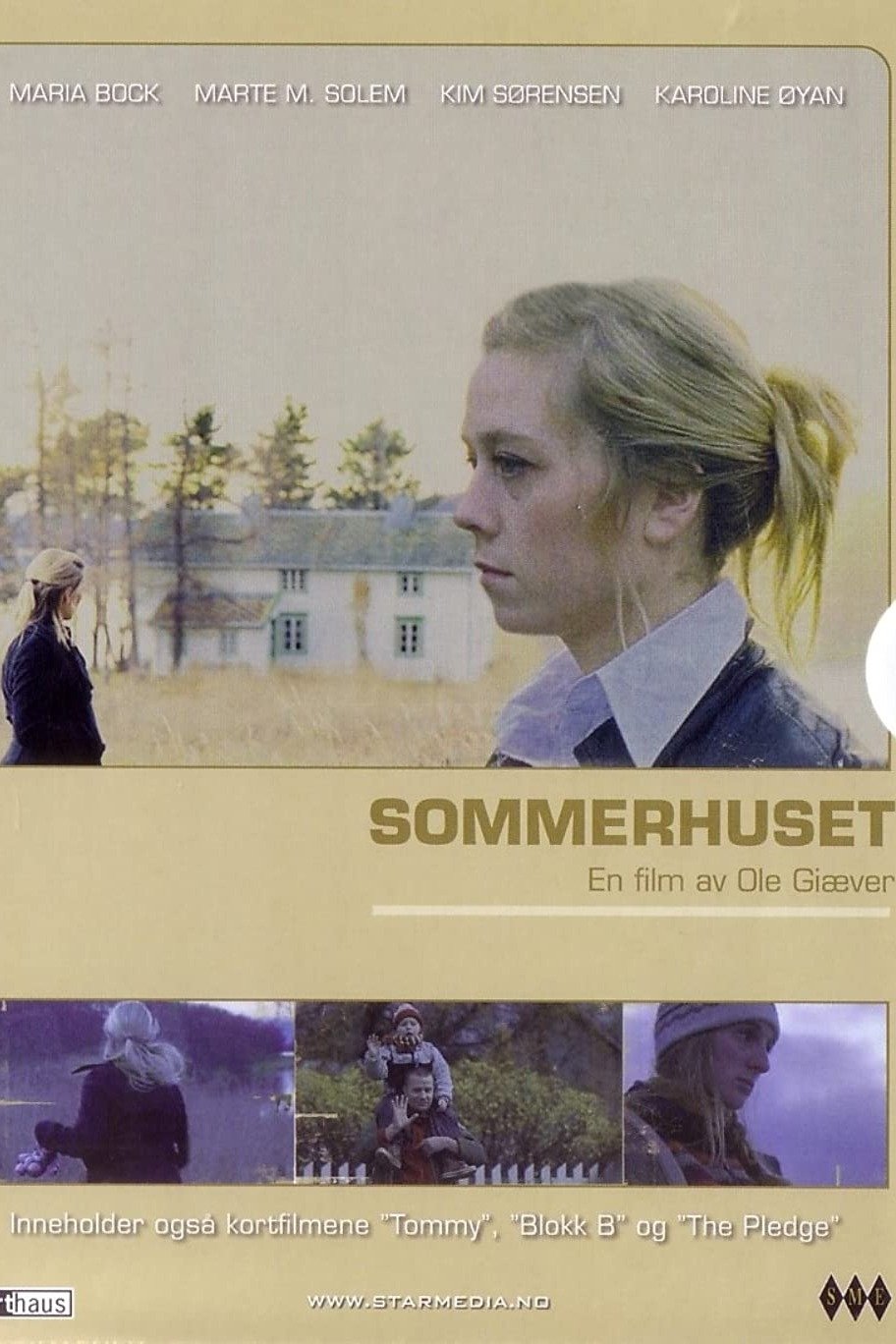 Summers Past poster