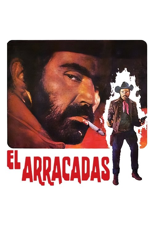 The Earrings poster
