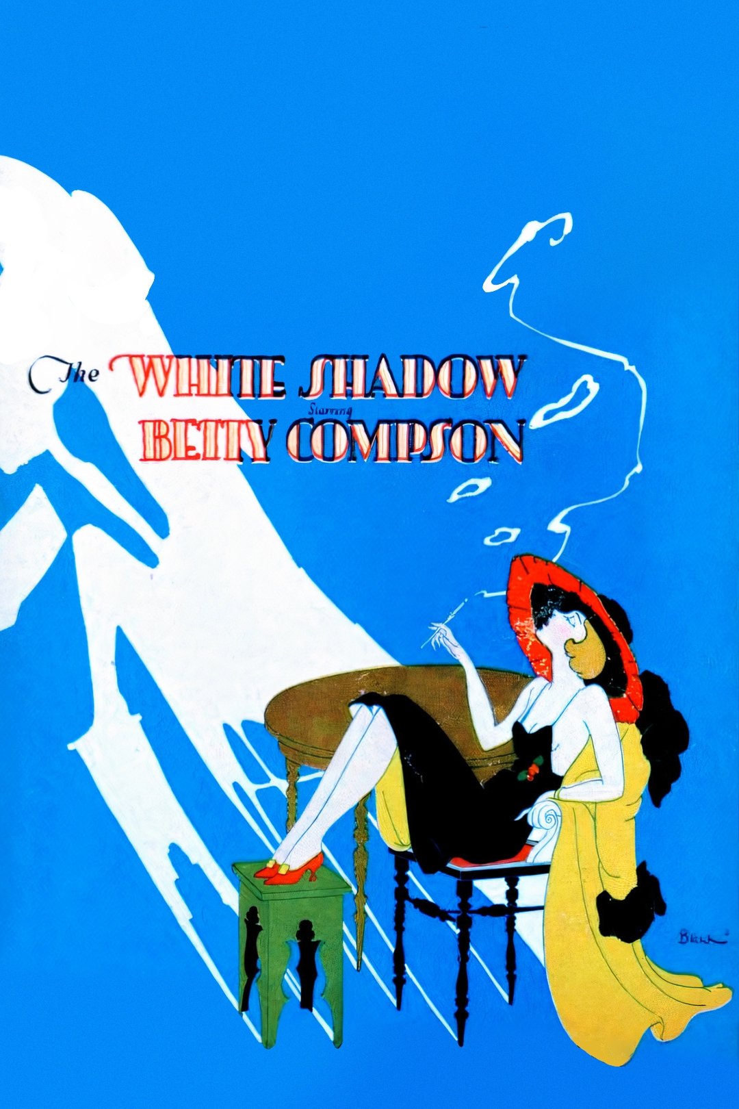The White Shadow poster