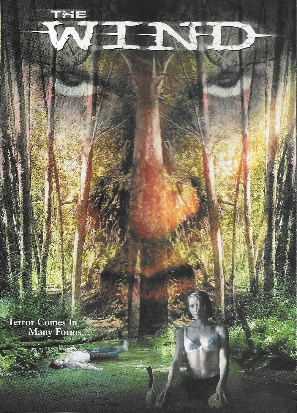 The Wind poster