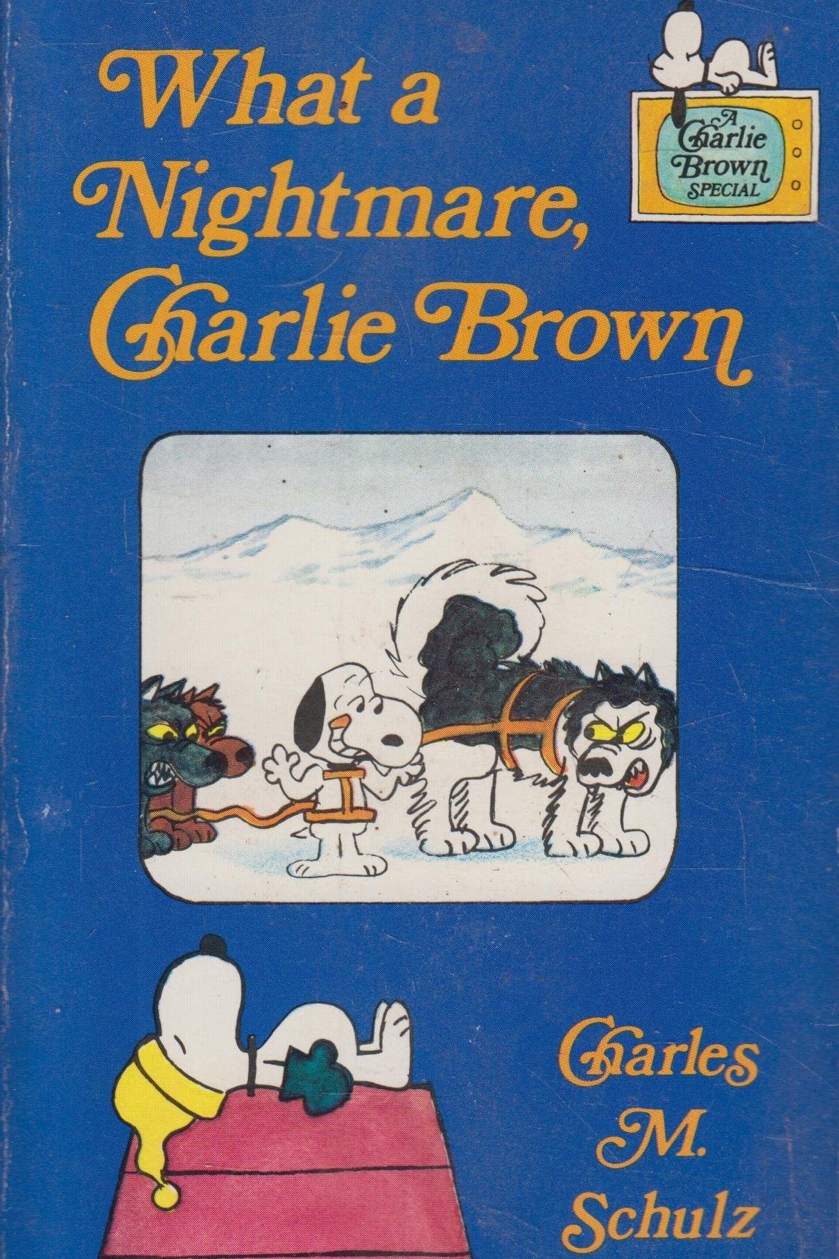 What a Nightmare, Charlie Brown! poster